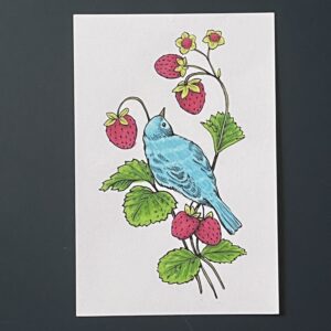 Coloriage - Bird in Berries