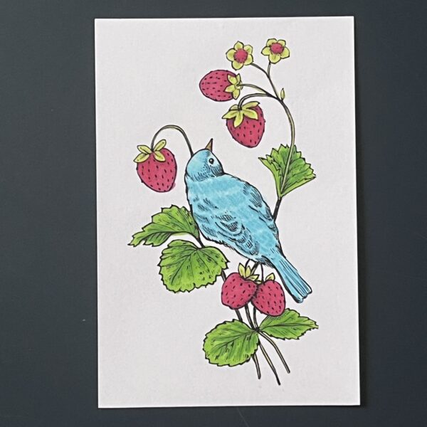 Coloriage - Bird in Berries
