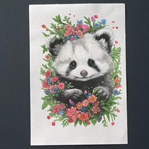 Coloriage - Racoon