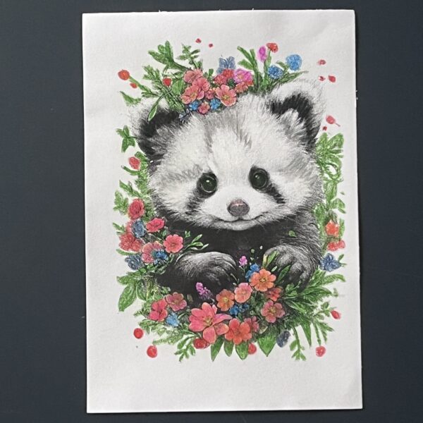 Coloriage - Racoon