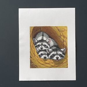 Coloriage - Racoons