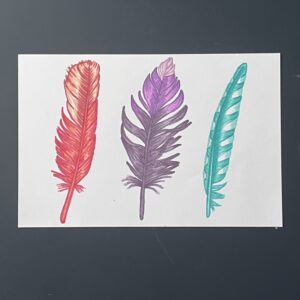 Coloriage - Plumes