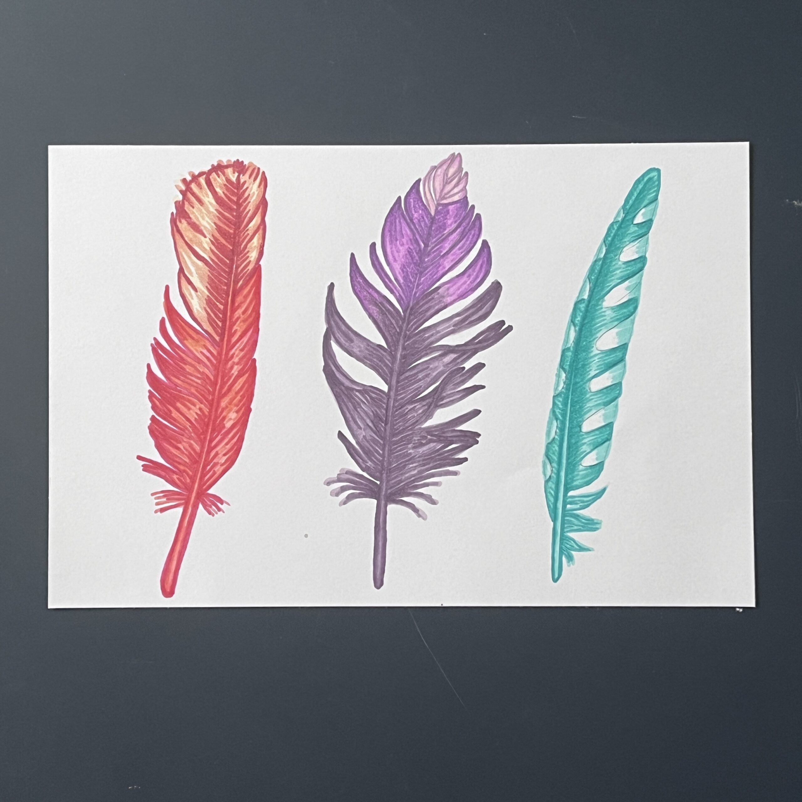 Coloriage - Plumes