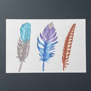 Coloriage - Plumes