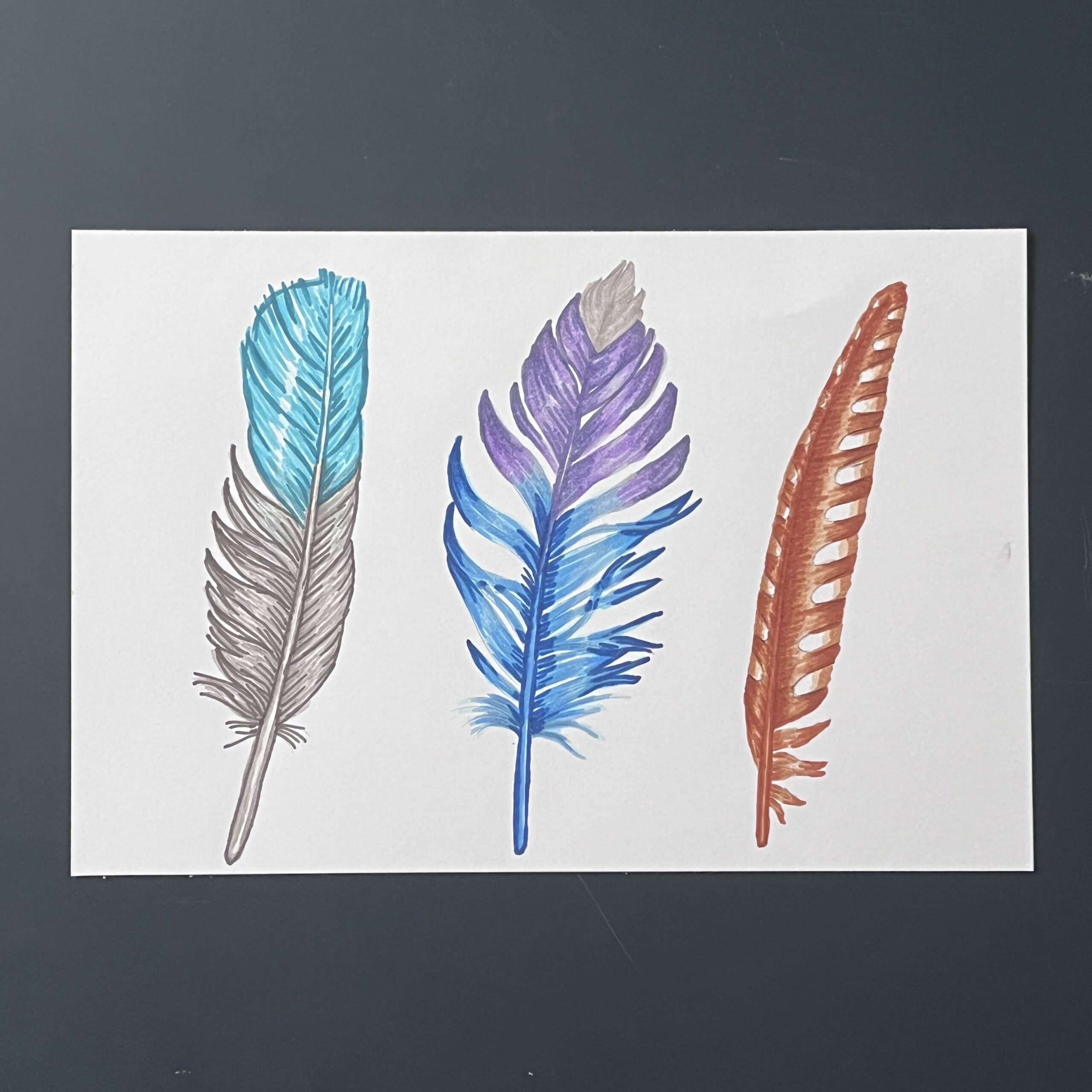 Coloriage - Plumes