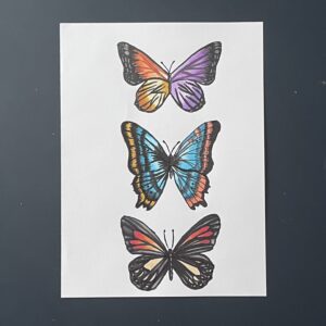 Coloriage - Papillons