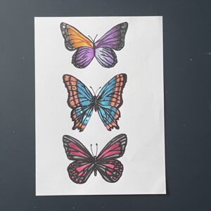 Coloriage - Papillons