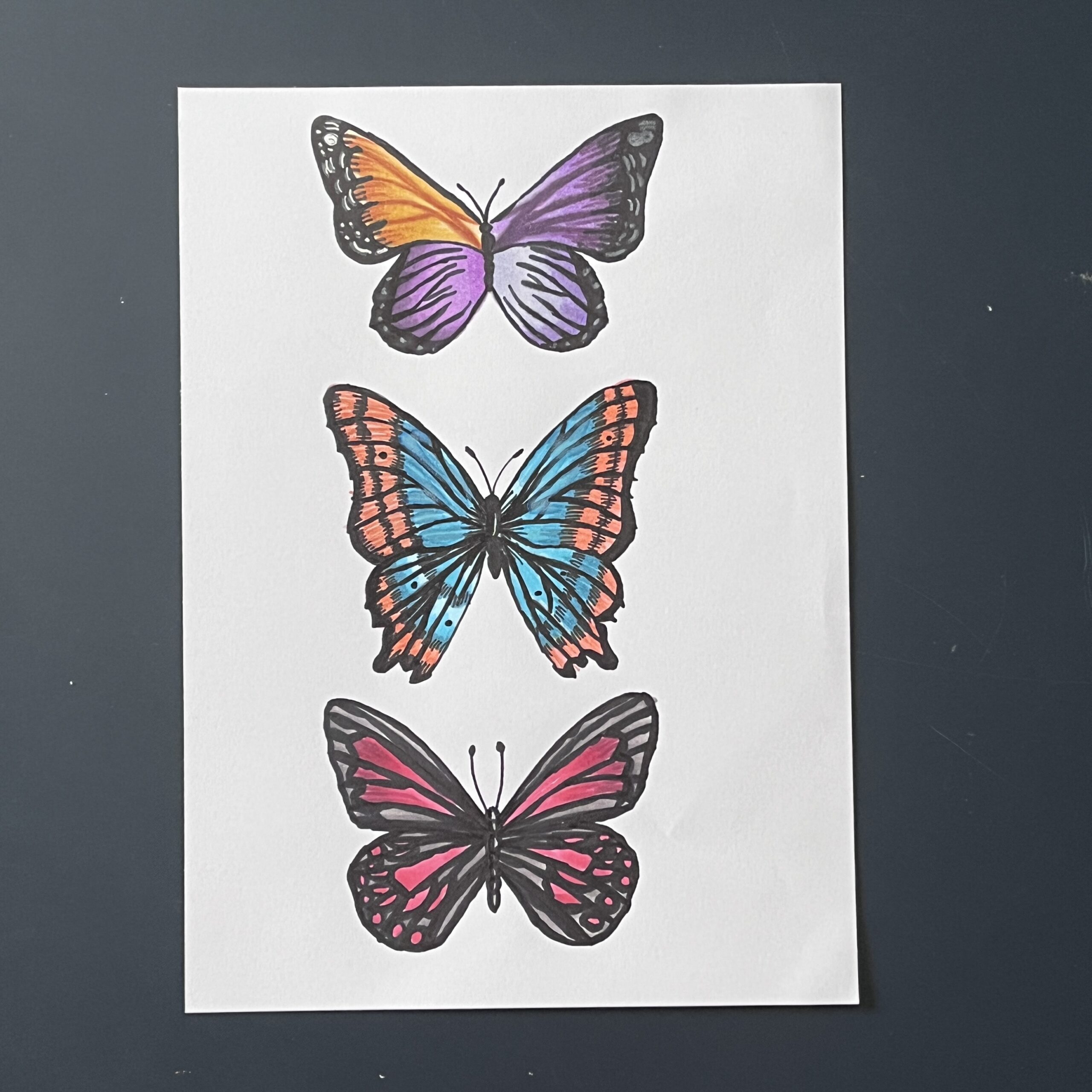 Coloriage - Papillons
