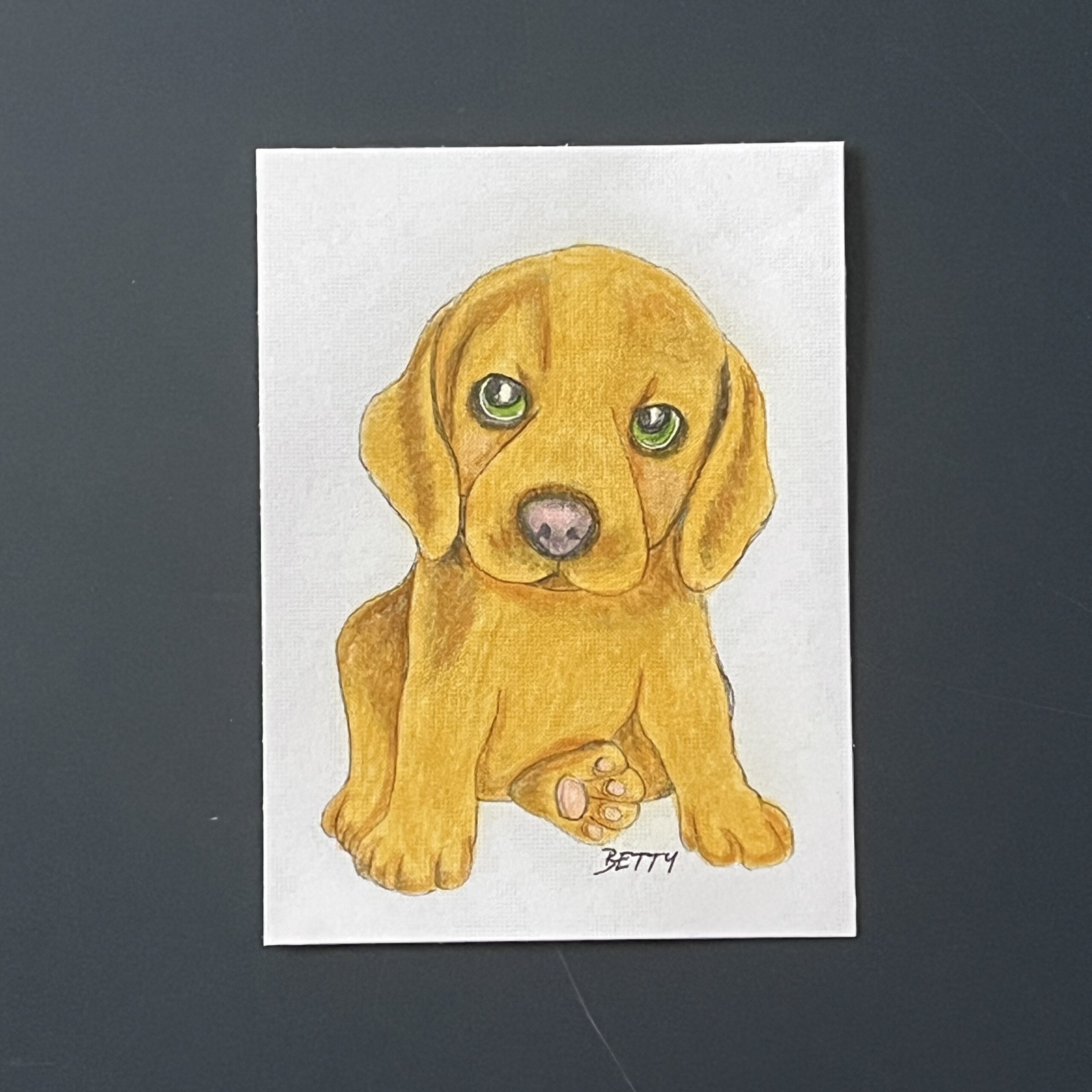 Coloriage - Chiot